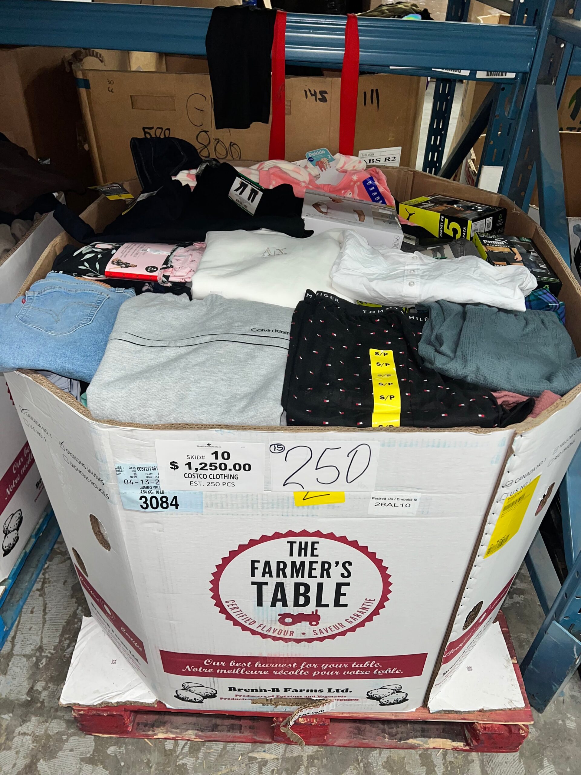 Brand Name Clothing Pallet #10 – 250 Piece Wholesale Lot